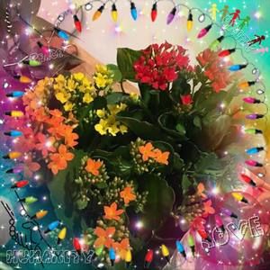 Meet your Posher, Melody